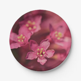 美しいピンクの花 ペーパープレート