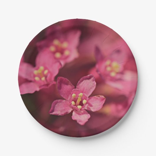 美しいピンクの花 ペーパープレート (正面)