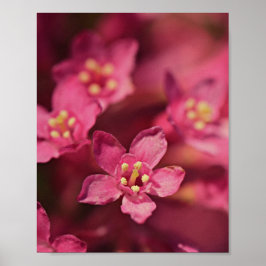 美しいピンクの花 ポスター