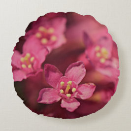 美しいピンクの花 ラウンドクッション