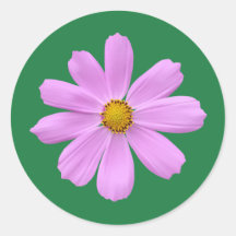 美しいピンクの花