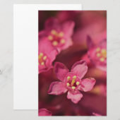 美しいピンクの花 便箋 (正面/裏面)
