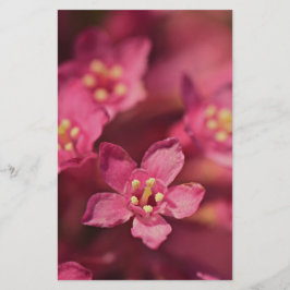 美しいピンクの花 便箋