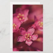 美しいピンクの花 便箋 (正面/裏面)