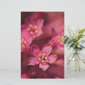 美しいピンクの花 便箋 (スタンド正面)