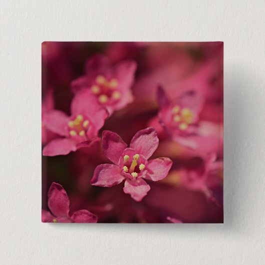 美しいピンクの花 缶バッジ (正面)