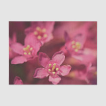 美しいピンクの花