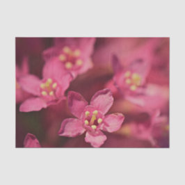 美しいピンクの花 薄葉紙