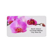 美しいピンクの蘭 ラベル (正面)