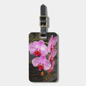 美しいピンクの蛾の蘭 ラゲッジタグ (正面縦)