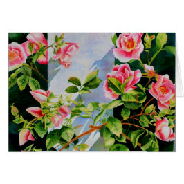 美しいピンクの赤い白いバラの水色のフローラ