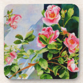 美しいピンクの赤い白いバラの水色のフローラ コースター (正面)