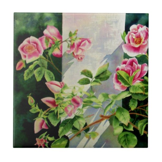 美しいピンクの赤い白いバラの水色のフローラ タイル (正面)