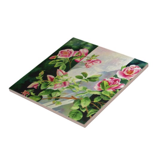 美しいピンクの赤い白いバラの水色のフローラ タイル (側面)