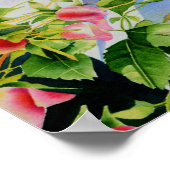 美しいピンクの赤い白いバラの水色のフローラ ポスター (角)