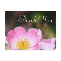 美しいピンクの野生のバラ結婚の花感謝していのあなた