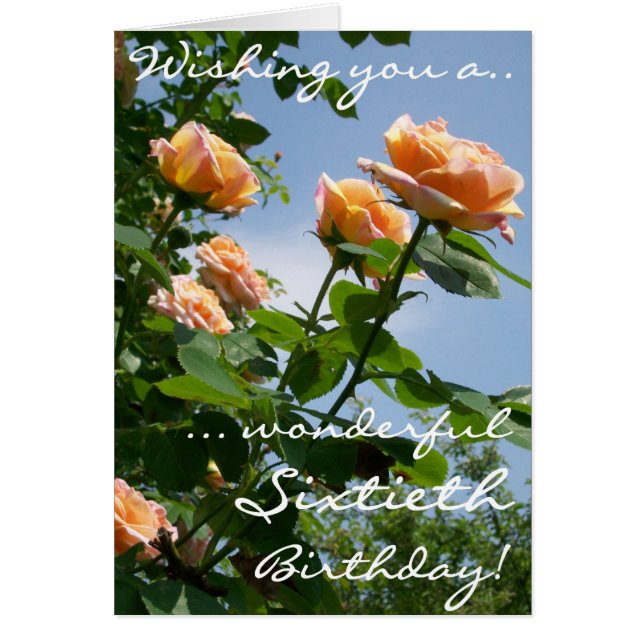 美しいピンクの錬金術師バラ60誕生日 (正面)