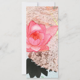 美しいピンクの《植物》スイレンの花写真アート