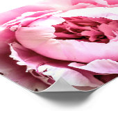 美しいピンクエレガントの牡丹の花 ポスター (角)