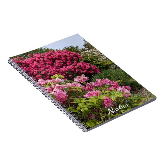 美しいピンクシャクシャクナゲ開花フローラ ノートブック (右側)