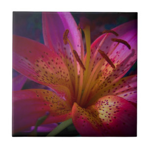 美しいピンクユリ タイル
