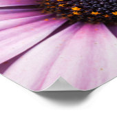 美しいピンク紫色の骨perum花 ポスター (角)