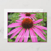 美しいピンク色の紫色の花 ポストカード (正面/裏面)