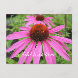 美しいピンク色の紫色の花 ポストカード