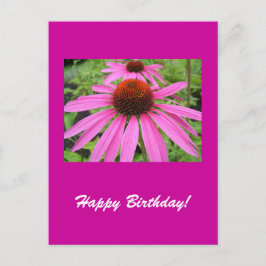 美しいピンク色の紫色の花 ポストカード