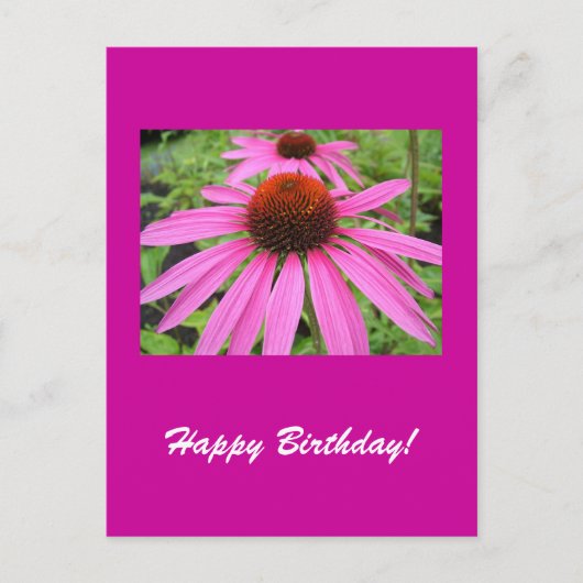 美しいピンク色の紫色の花 ポストカード (正面)