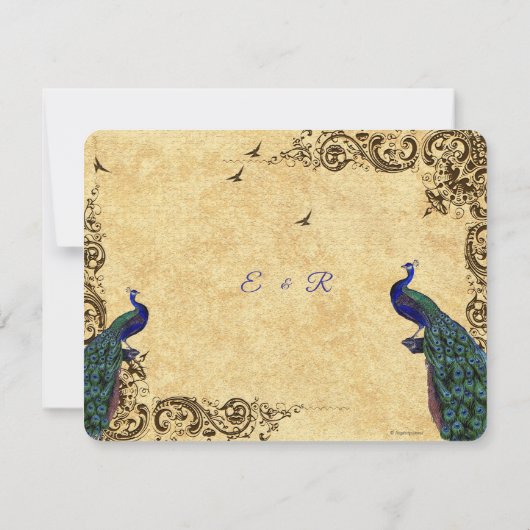 美しいピーコック日付を保存 招待状 (裏面)