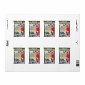 美しいファルカランズ旅行ポスターを訪れる ラベル (フルシート)