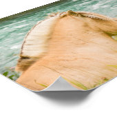 美しいフィヨルド馬7" x 5"アーカイブのポスター ポスター (角)