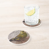 美しいフィンチ コースター (側面)