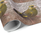 美しいフィンチ ラッピングペーパー (ロールコーナー)