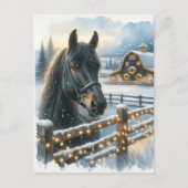 美しいフェスティバルブラックホースオンファームクリスマス ポストカード (正面)