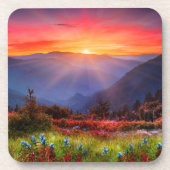 美しいフォトマウンテンズサンセットワイルドフラワー コースター (正面)