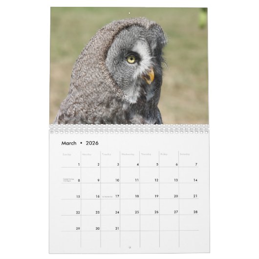 美しいフクロウの写真およびイメージ2016年 カレンダー (3月 2026)