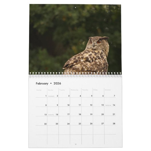 美しいフクロウの写真およびイメージ2017年 カレンダー (2月 2026)