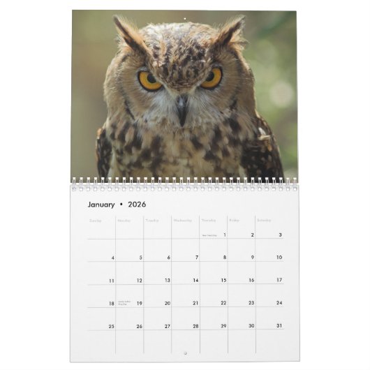 美しいフクロウの写真およびイメージ2017年 カレンダー (1月 2026)