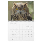 美しいフクロウの写真と画像2025 カレンダー (1月 2027)