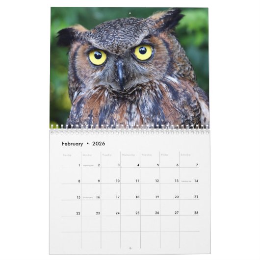 美しいフクロウエレガントムウォール カレンダー (2月 2026)