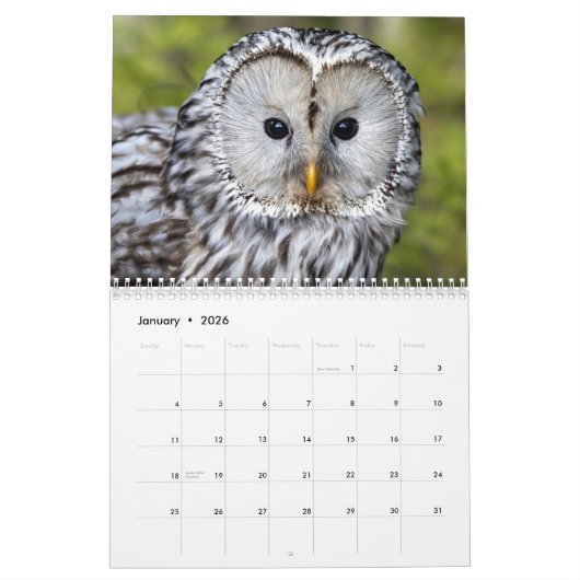 美しいフクロウエレガントムウォール カレンダー (1月 2026)