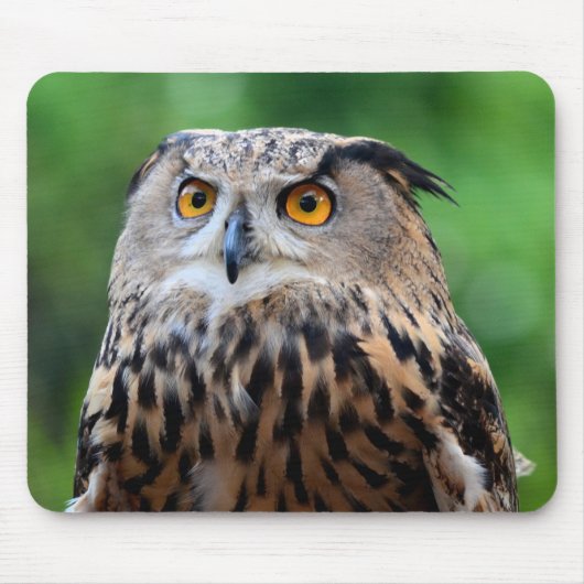美しいフクロウマウスパッド マウスパッド (正面)