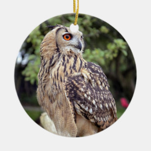 美しいフクロウ野生動物の写真の贈り物 セラミックオーナメント