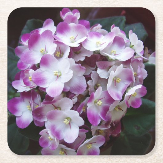 美しいフラワーコースターセット スクエアペーパーコースター (正面)