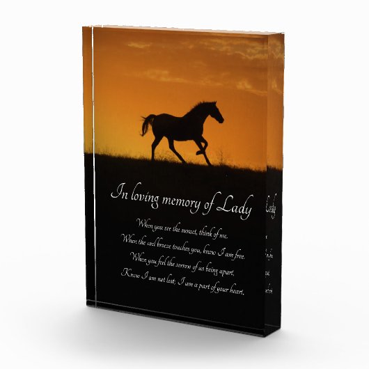 美しいフリースピリチュアル馬記念 フォトブロック (右)