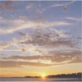 美しいフロリダスカイ シール (正面)