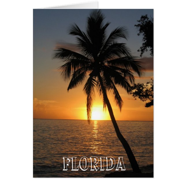 美しいフロリダ (正面)