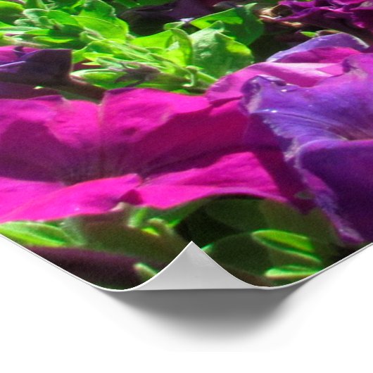 美しいフローラは行き、神の写真を残す ポスター (角)